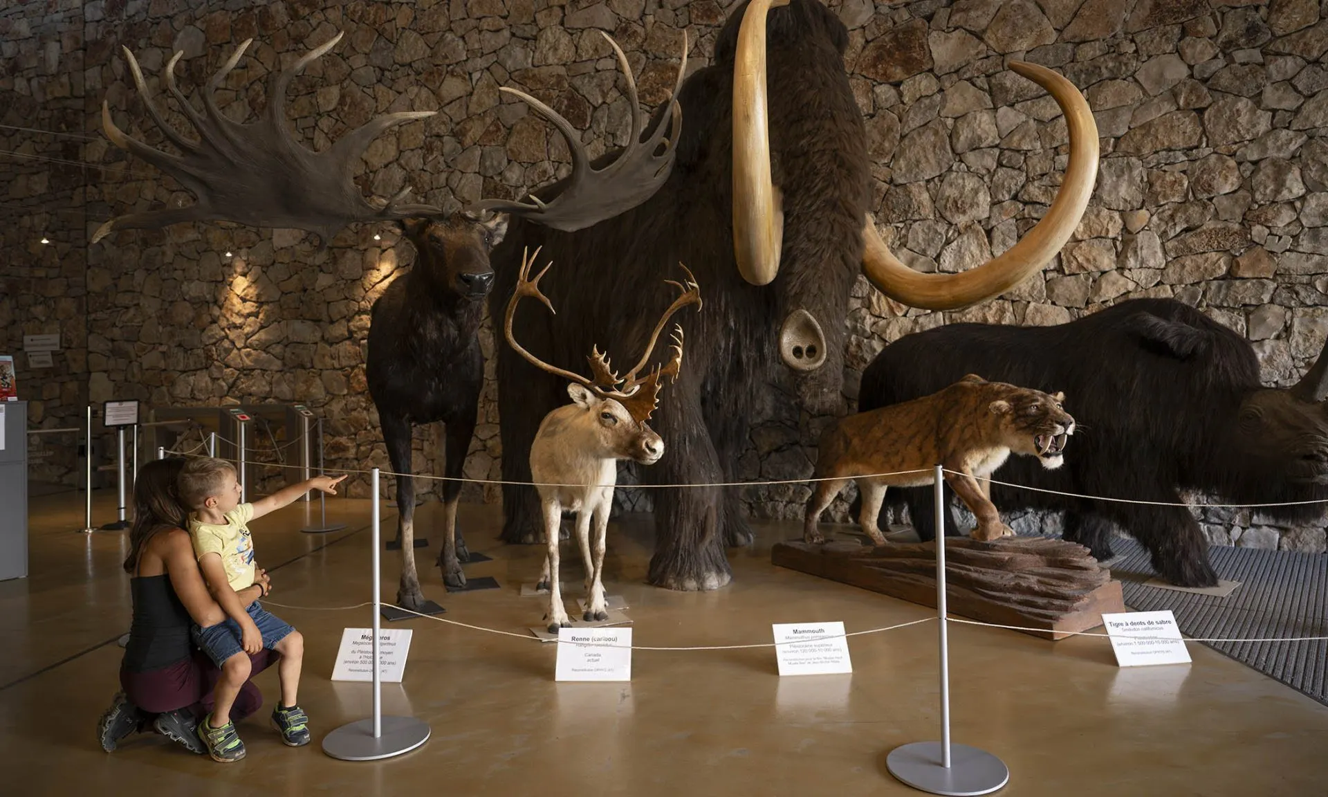 Musée de Préhistoire des Gorges du Verdon